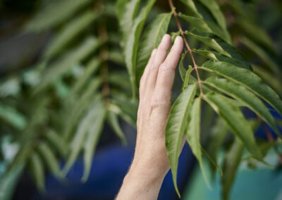 Referenzfoto - Shooting bulthaup