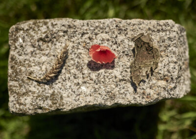 Referenzfoto - Shooting bulthaup