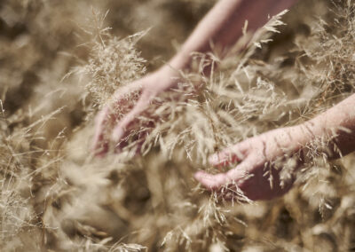 Referenzfoto - Shooting bulthaup