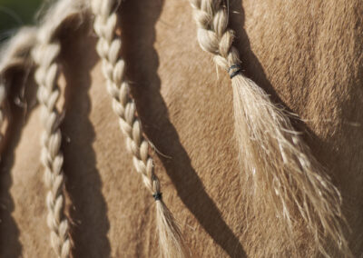 Referenzfoto - Shooting bulthaup